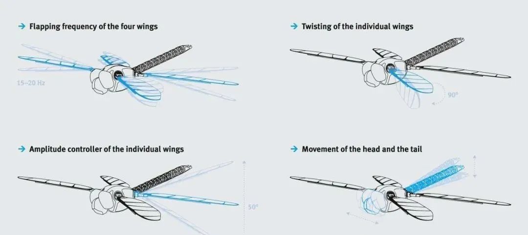 仿生蜻蜓机器人：从自然中获取灵感(图6)